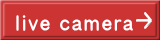 live camera