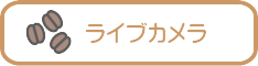 ライブカメラ
