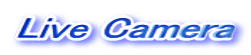 Live Camera